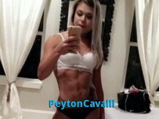 Peyton_Cavalli