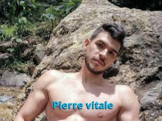 Pierre_vitale