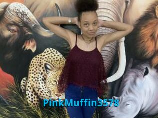 PinkMuffin3578