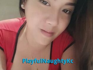 PlayfulNaughtyKc