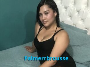 Palmerrbrousse