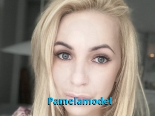 Pamelamodel