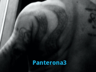 Panterona3