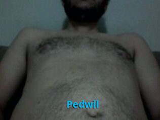 Pedwil