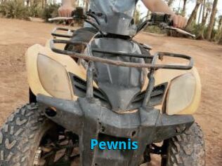 Pewnis