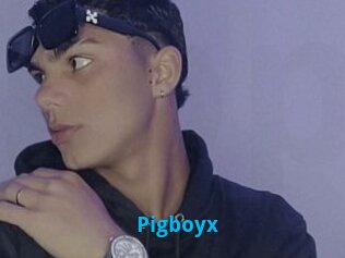 Pigboyx