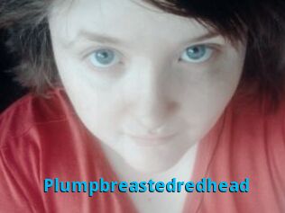 Plumpbreastedredhead