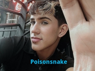 Poisonsnake