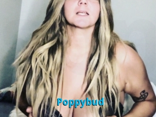 Poppybud