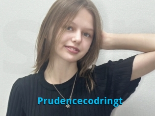 Prudencecodringt