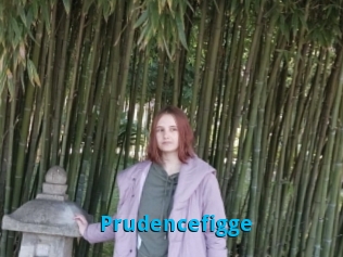 Prudencefigge