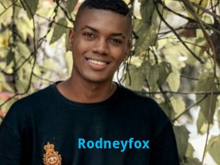 Rodneyfox