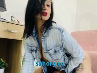 Sahory_co