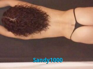 Sandy1000