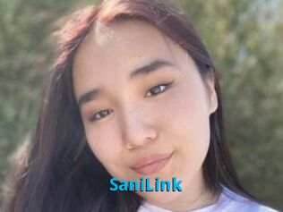 SaniLink