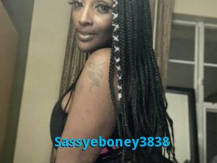 Sassyeboney3838