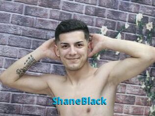 ShaneBlack