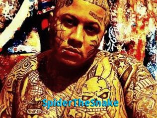 SpiderTheSnake
