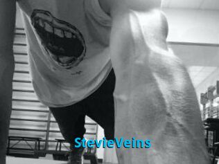 StevieVeins