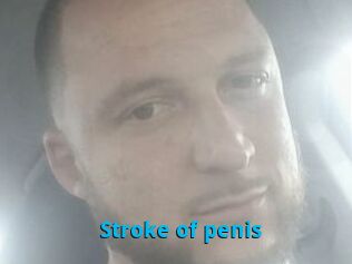 Stroke_of_penis