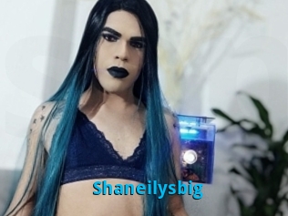 Shaneilysbig