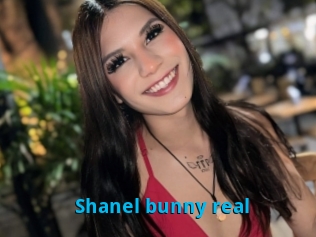 Shanel_bunny_real