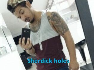 Sherdick_holes
