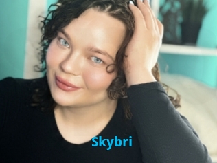 Skybri