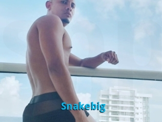 Snakebig