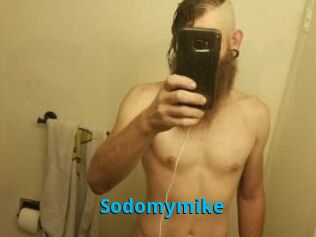 Sodomymike