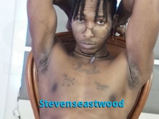 Stevenseastwood