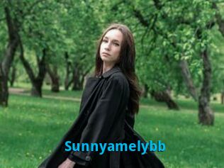 Sunnyamelybb