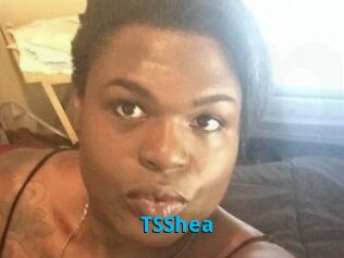 TS_Shea