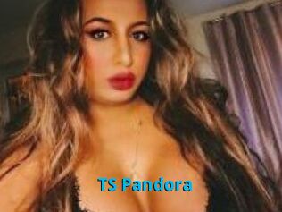 TS_Pandora