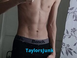 TaylorsJunk