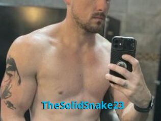 TheSolidSnake23