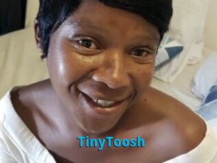 TinyToosh