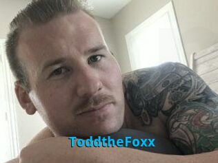 ToddtheFoxx