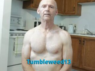 Tumbleweed13 Stinkypinkpimpin