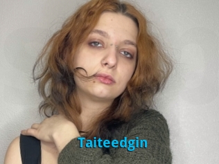 Taiteedgin