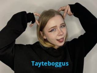 Tayteboggus