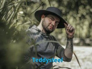 Teddysteel