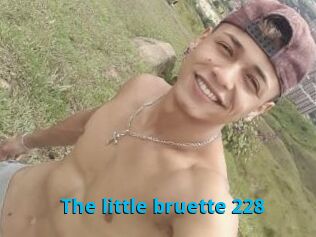 The_little_bruette_228