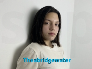 Theabridgewater