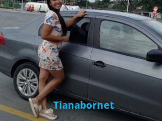 Tianabornet