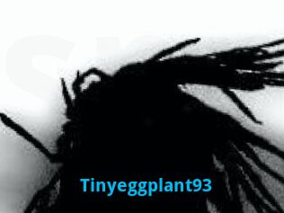 Tinyeggplant93