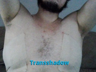 Transshadow