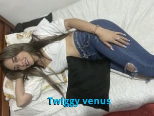 Twiggy_venus