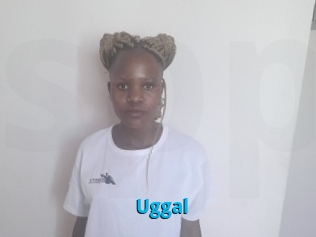 Uggal