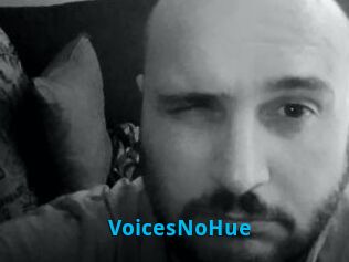 VoicesNoHue